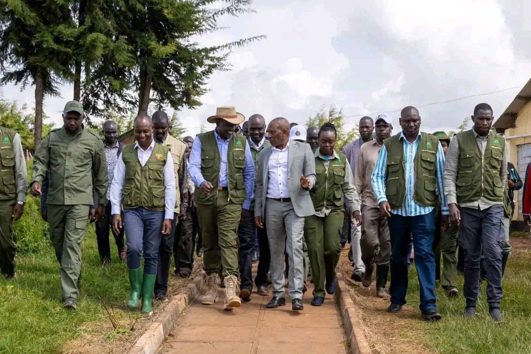 President Ruto walking with KALRO officials at Kaptagat event
